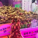 달사냥인형뽑기 네이버블로그