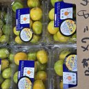 도토리 하우스 이미지