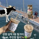 새천년도로 | 삼척해상스카이워크 찍고! 새천년도로 정라진에서 내돈내산 플러스마이너스밀크티 한 잔🐄