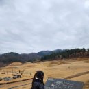 성주읍4길 | 경북 성주 명소 | 아이와 가볼만한곳 성산동 고분군 전시관 관람 후기