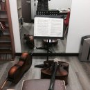 첼로(성인반) 이미지