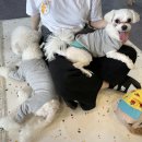 로얄에이알씨(주) 이미지