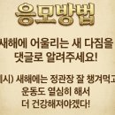다짐몰