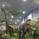 덕소자연사박물관 이미지