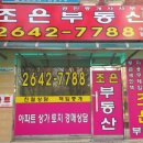 늘조은공인중개사사무소 Daum카페