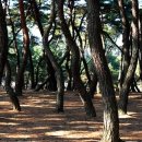 마리 진산마을 이미지