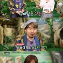 유진랜드 이미지