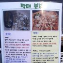 짝태본부 네이버블로그