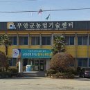 안군