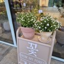 프롬마이포레스트