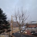 모란역실용음악학원 보컬,드럼,기타수업 그리고 광고고민,야탑역 정형외과에서 어깨치료 (어제일기)