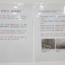 덕산 온천탕 이미지