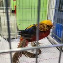 터미널길 이미지