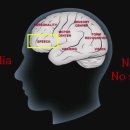 부흥축사 이미지