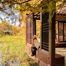 덕진건설(주) | 전주수목원 단풍명소 볼거리 아이와 데이트 주차 강아지 정보