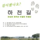 개곡천 Daum카페