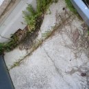 천정경로당 이미지