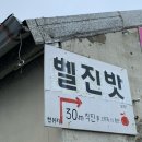벨진밧별관 | 서귀포 서쪽 카페 추천｜애견동반 가능한 벨진밧 방문 후기