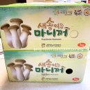 프라임홈파티스스튜디오부천중동점 | 법/ 전자레인지로 새송이버섯 구워먹는 법/ 타파웨어 스마트그릴/ with 부천 춘의역 타파웨어 쿠킹스튜디오