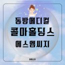 콜마홀딩스 에스엠씨지 동방메디컬 미용기기 화장품 관련주 달튼 미국 행동주의 펀드