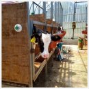 석기목장 이미지