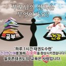 염포초교 병설유치원 네이버블로그