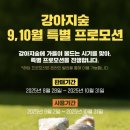 강아지 숲 이미지