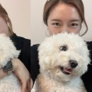 늘푸른펜션 이미지