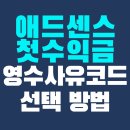 코드센스 | 첫 애드센스 수익 영수사유코드 선택 방법 및 후기