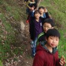 송풍초,용담중 이미지