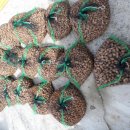 구현농장 이미지