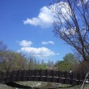 존재의 사랑 이미지