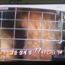 부연농장 이미지