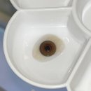 오렌즈(루미애체)압구정역점 이미지