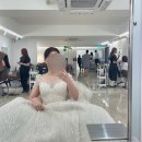 아리움헤어 | 양재 AT포레 본식 후기 오전 11시 예식, 아리움홀 연회장은 비추하는 이유