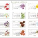 웰빙쇼핑몰 이미지