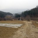 칠곡 기성리 삼층 석탑 이미지