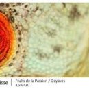 플로리다후르츠(FLORIDA) 이미지