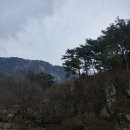 백아농장 이미지