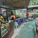 반딧불안경 이미지