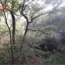 완산-44 이미지