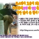 치킨독립군 네이버블로그