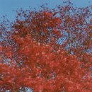 계절세탁소 이미지