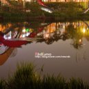 동백호수공원 이미지