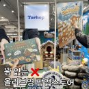 소금마을온열체험 | 꽝없는 토르홉 팝업스토어 올리브영 강남타운점 이벤트 선물 체험존 총정리