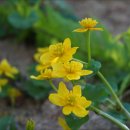 이화농장 이미지