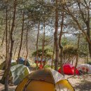 개인사유지 | (캠핑) 개인 사유지로 떠나는 단체 백패킹 후기! / feat. 힐레베르그