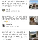 👰🏻‍♀️❤️🤵🏻‍♂️결혼기념일1주년 제주도2박3일 계획세우기 (숙소,항공,렌트카예약하기)