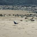 구름포오토캠핑장 이미지