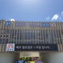219.생연초교정문_1 | 공주 아기랑 주말 가볼만한곳(고마곰어린이체험관, 안전체험공원, 국립공주박물관)